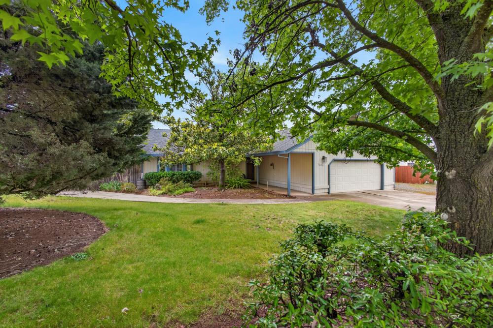 7649 El Modena Avenue Elverta, CA 95626 - Photo 4 of 75 a view of a backyard with large trees