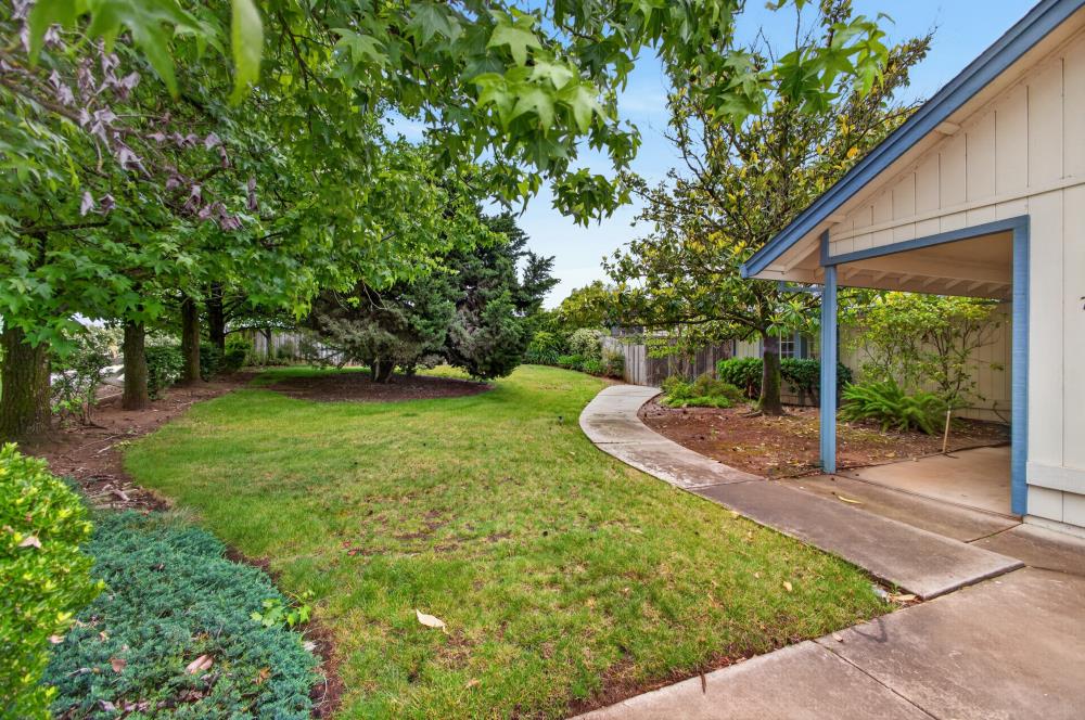7649 El Modena Avenue Elverta, CA 95626 - Photo 7 of 75 a view of a backyard with a garden