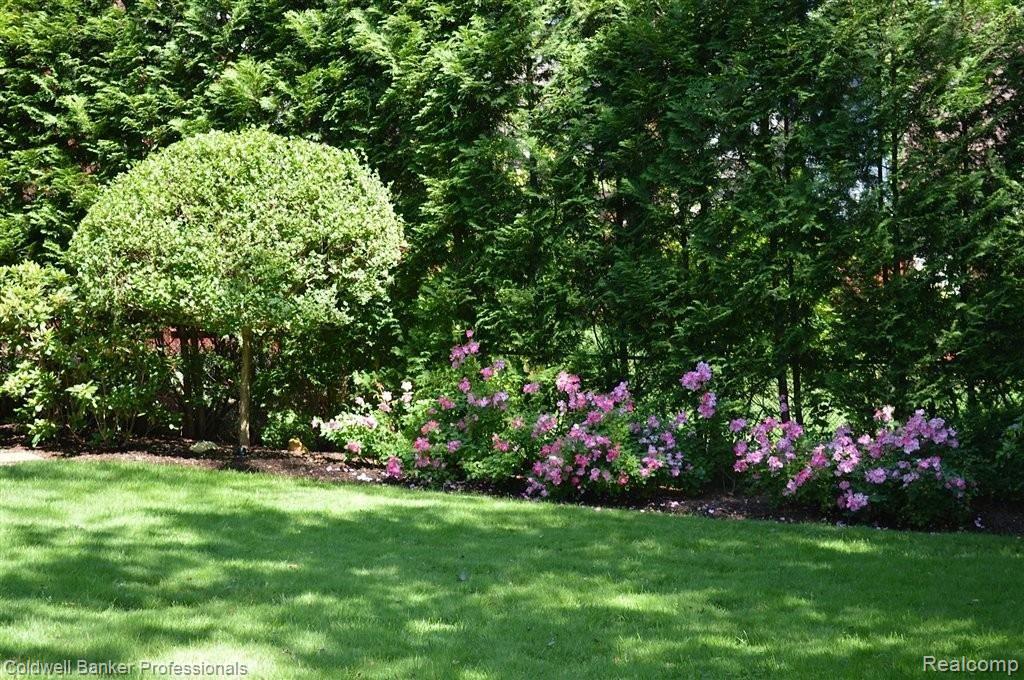 291 Linden Road Birmingham, MI 48009 - Photo 18 of 18 Backyard garden view