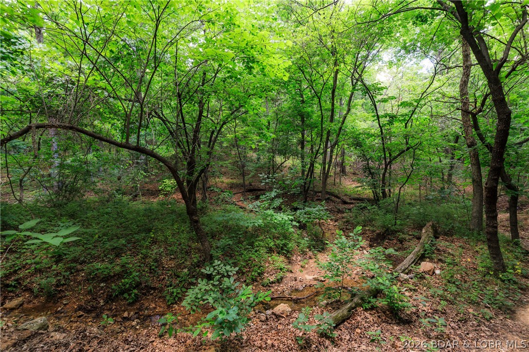400 Hidden Acres Road Camdenton, MO 65020 - Photo 22 of 39