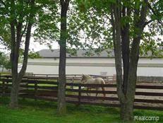 9190 Yager Road Goodells, MI 48027 - Photo 14 of 16 Yager Pastures 3