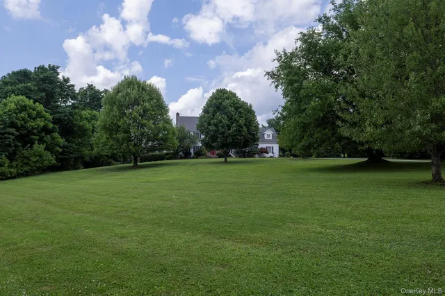a view of yard with green space