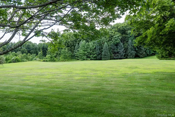 a view of outdoor space with yard and trees