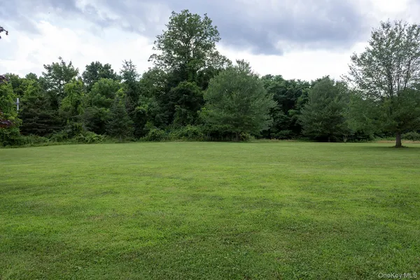 a view of a green field with trees in the background
