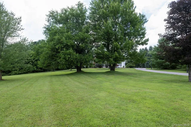 a view of a green field with trees