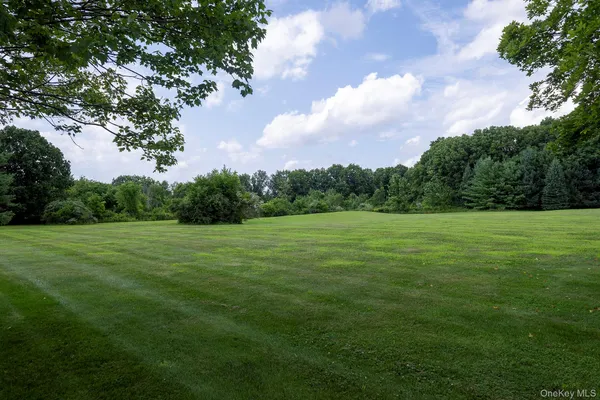 a view of grassy field with trees