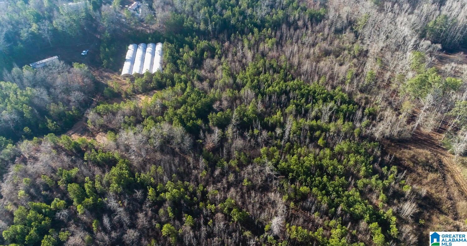 203 Racers Lane, Unit 1 Oxford, AL 36203 - Photo 2 of 21