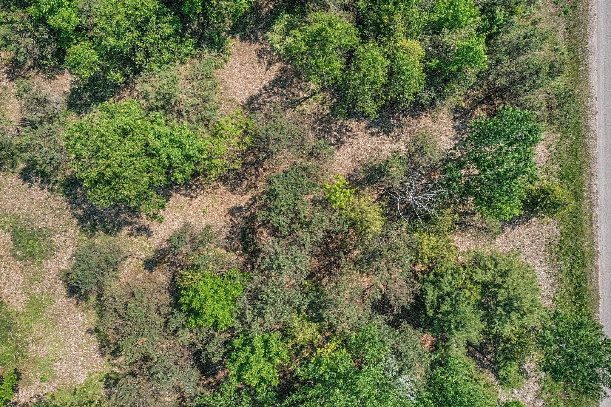 North Nelson Road Northport, MI 49670 - Photo 14 of 28 Gallery Image 14