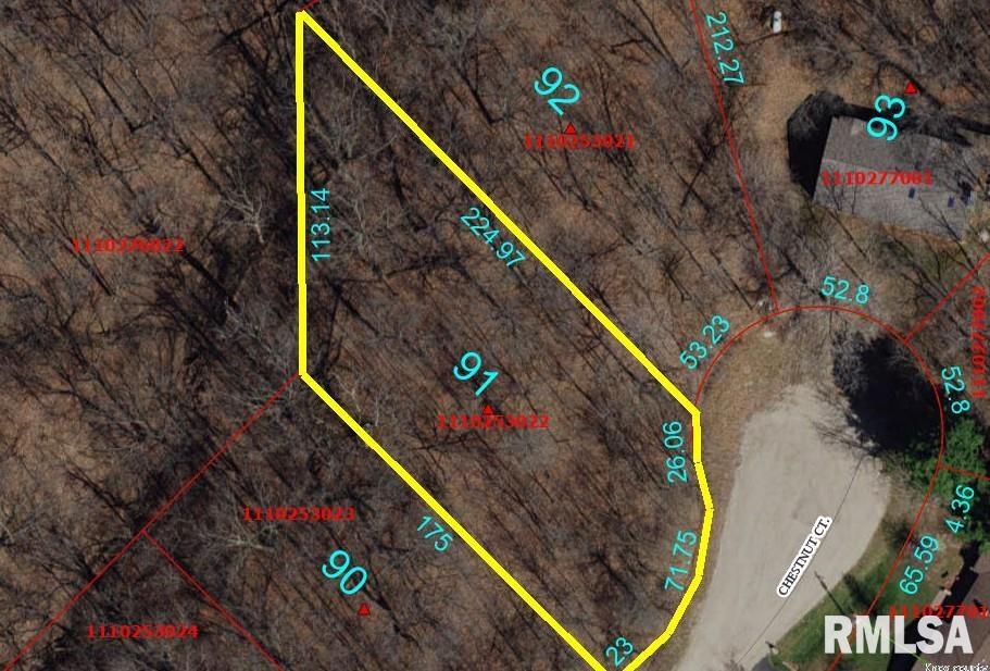 91 Chestnut Court Dahinda, IL 61428 - Photo 1 of 2