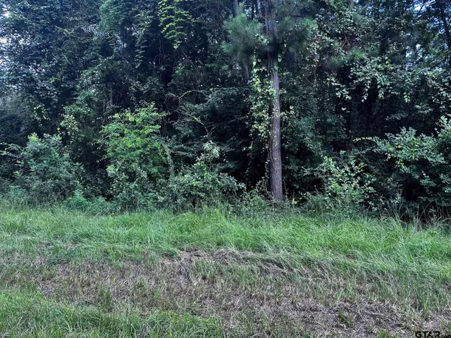 $19,500 | 540 Chelsea Lane, Bullard, TX 75757