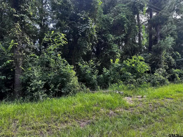 $19,500 | 540 Chelsea Lane, Bullard, TX 75757