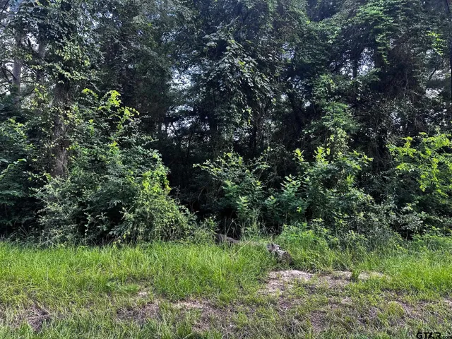 $19,500 | 540 Chelsea Lane, Bullard, TX 75757