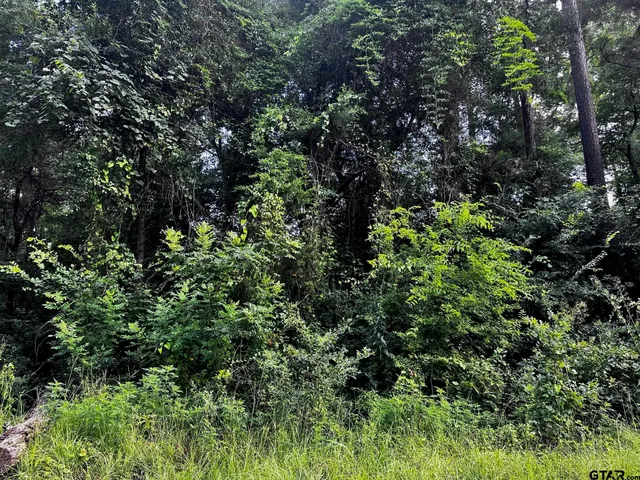 $19,500 | 540 Chelsea Lane, Bullard, TX 75757