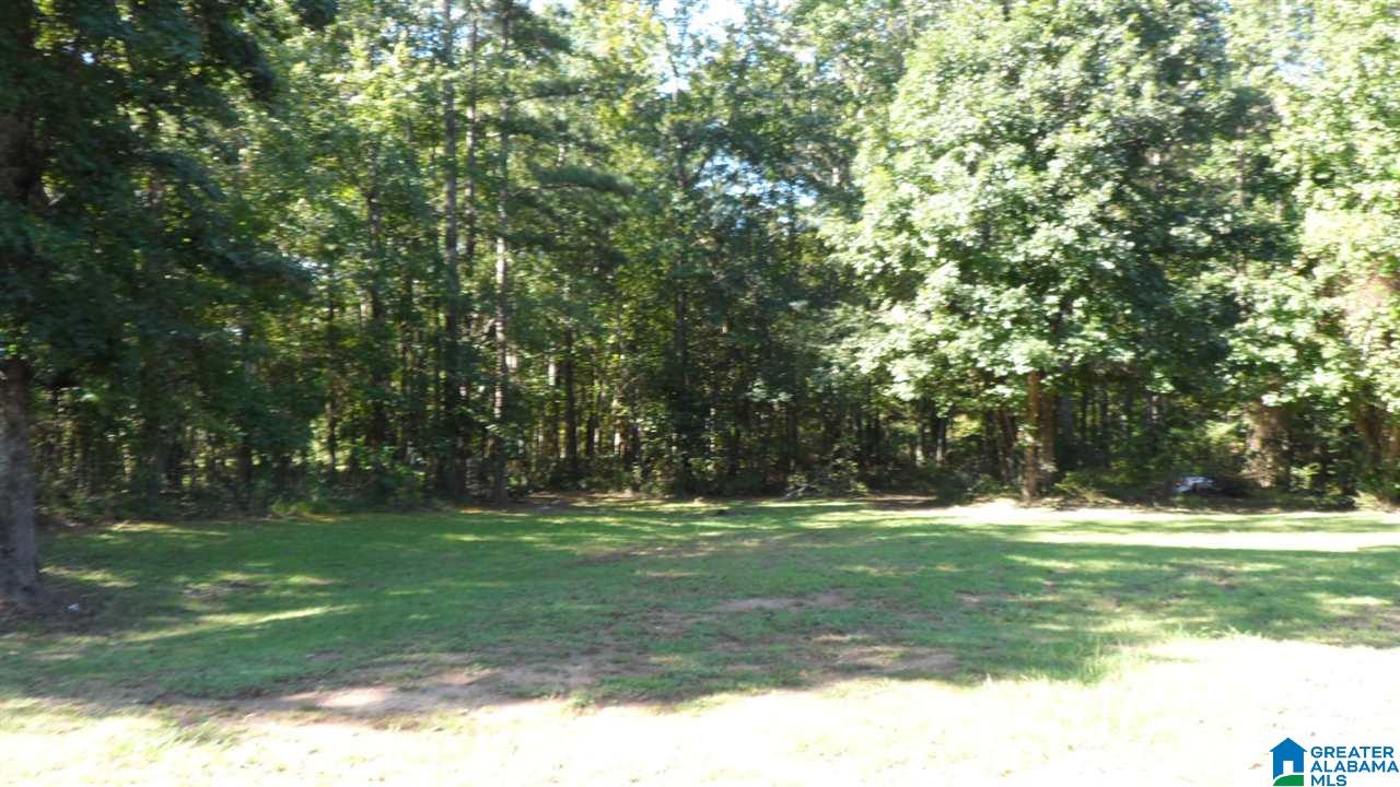 3096 New Liberty Road Wellington, AL 36279 - Photo 19 of 21