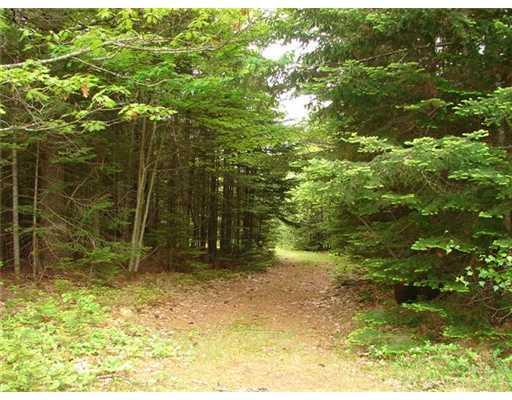 0 Harvest Road Holden, ME 04429 - Photo 2 of 9 Land/Lot. Clearing on property
