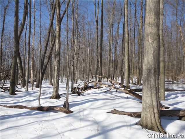 0 Austin Road Moravia, NY 13118 - Photo 1 of 1 Land