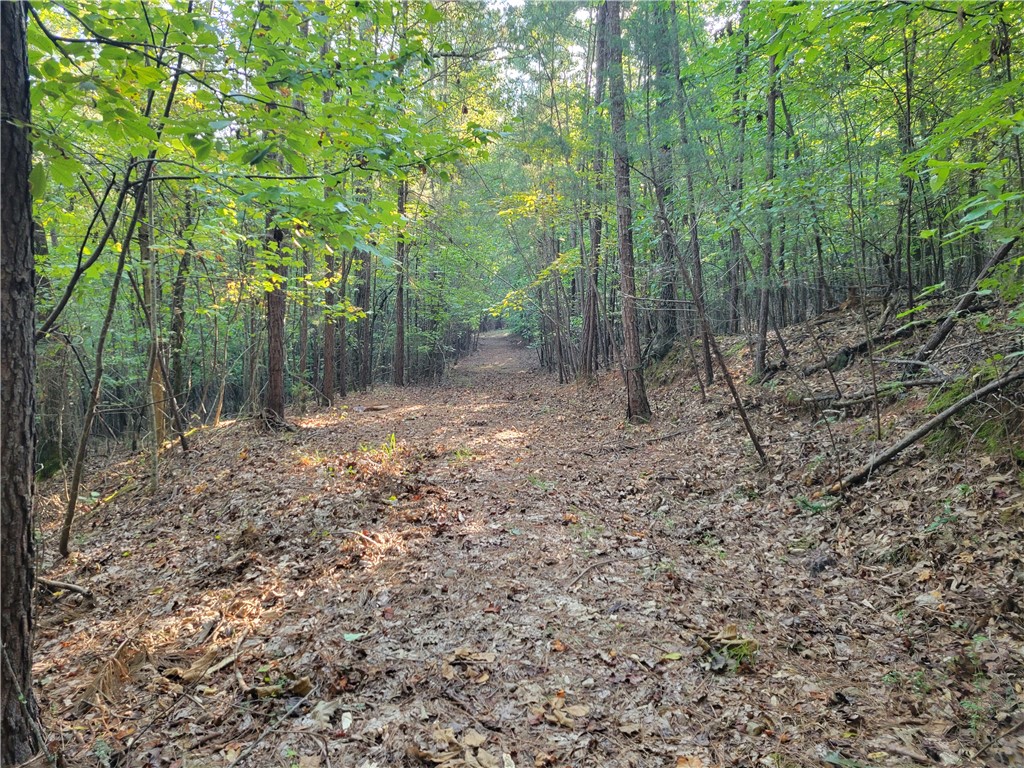 381 West Bryant Road West Union, SC 29696 - Photo 13 of 26