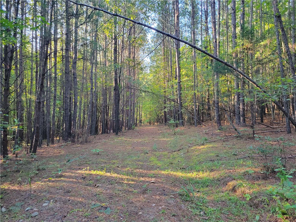 381 West Bryant Road West Union, SC 29696 - Photo 14 of 26