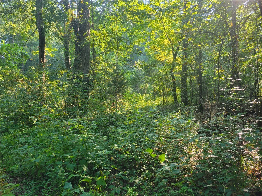 381 West Bryant Road West Union, SC 29696 - Photo 17 of 26