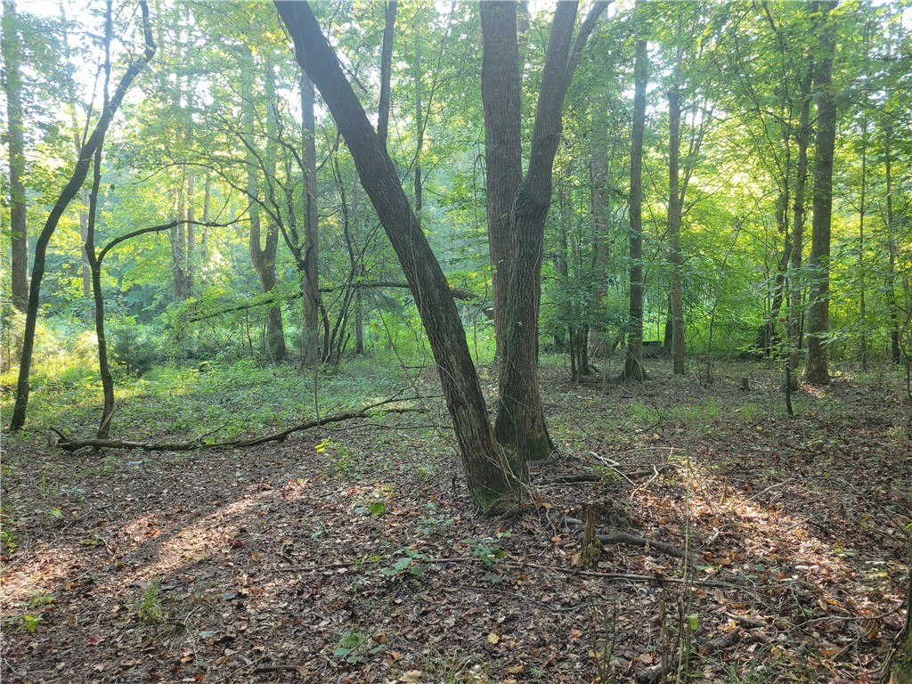 381 West Bryant Road West Union, SC 29696 - Photo 19 of 26