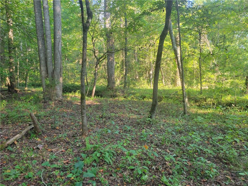 381 West Bryant Road West Union, SC 29696 - Photo 21 of 26