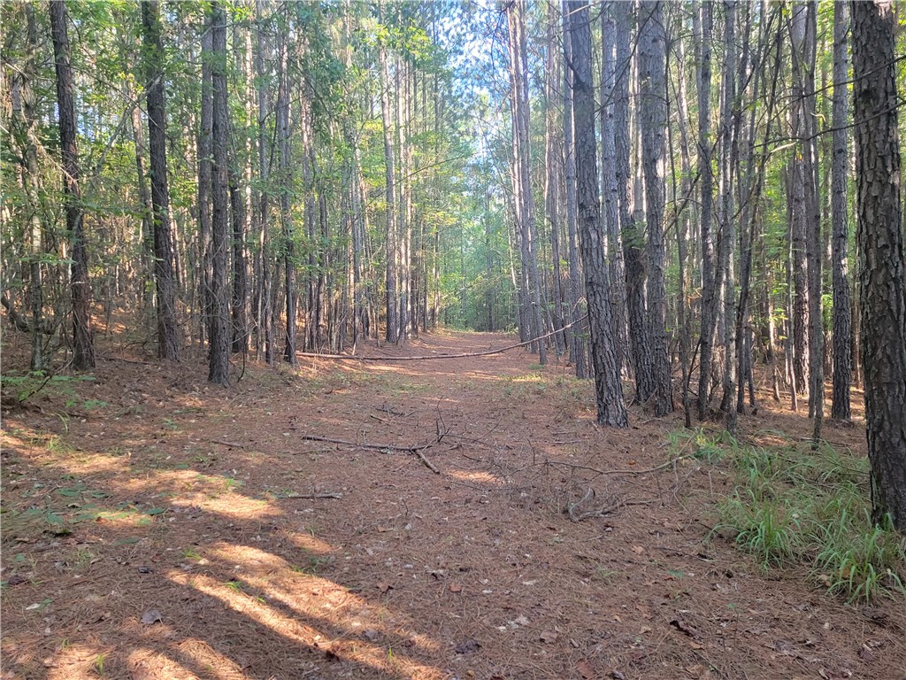 381 West Bryant Road West Union, SC 29696 - Photo 25 of 26