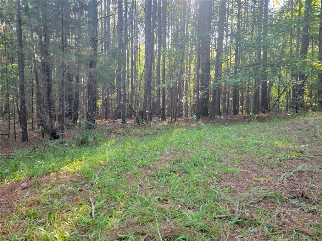 381 West Bryant Road West Union, SC 29696 - Photo 26 of 26