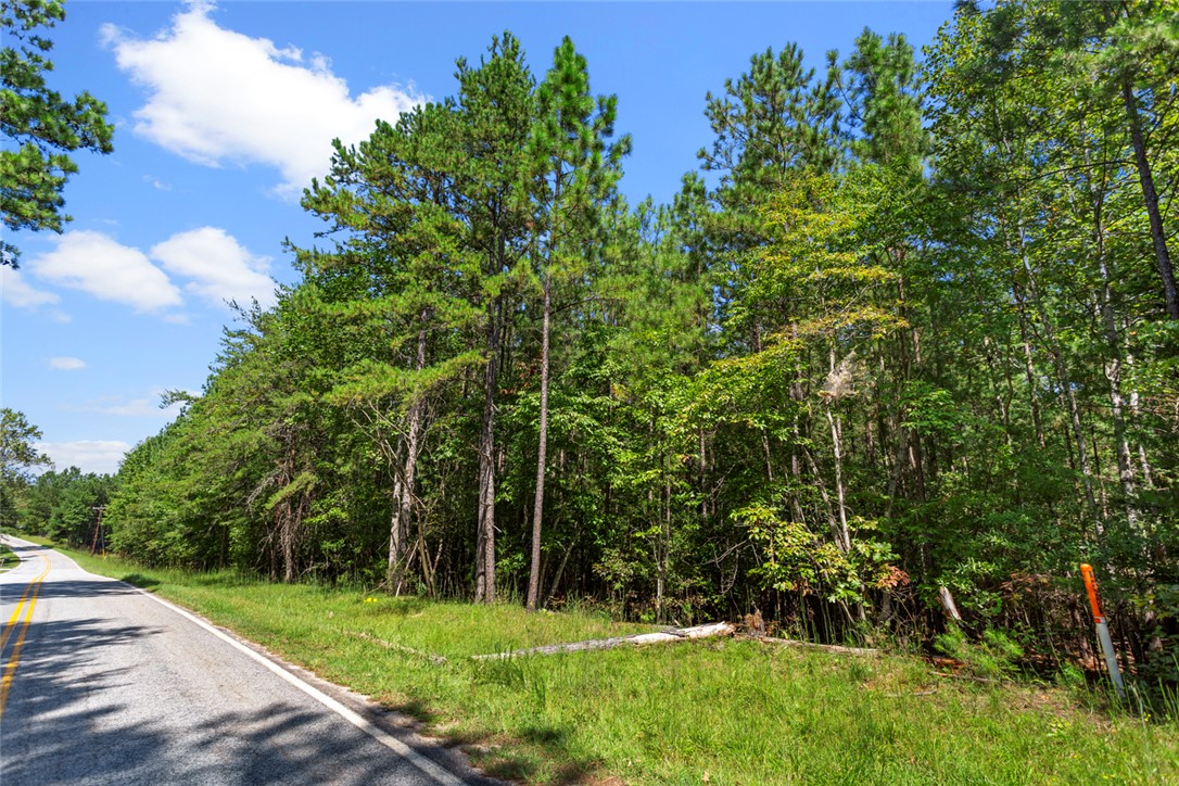 381 West Bryant Road West Union, SC 29696 - Photo 8 of 26