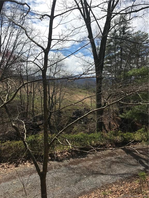 105 Allen Hill Road Canton, NC 28716 - Photo 3 of 4