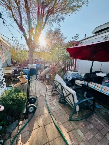 a picture of a couple of flowers