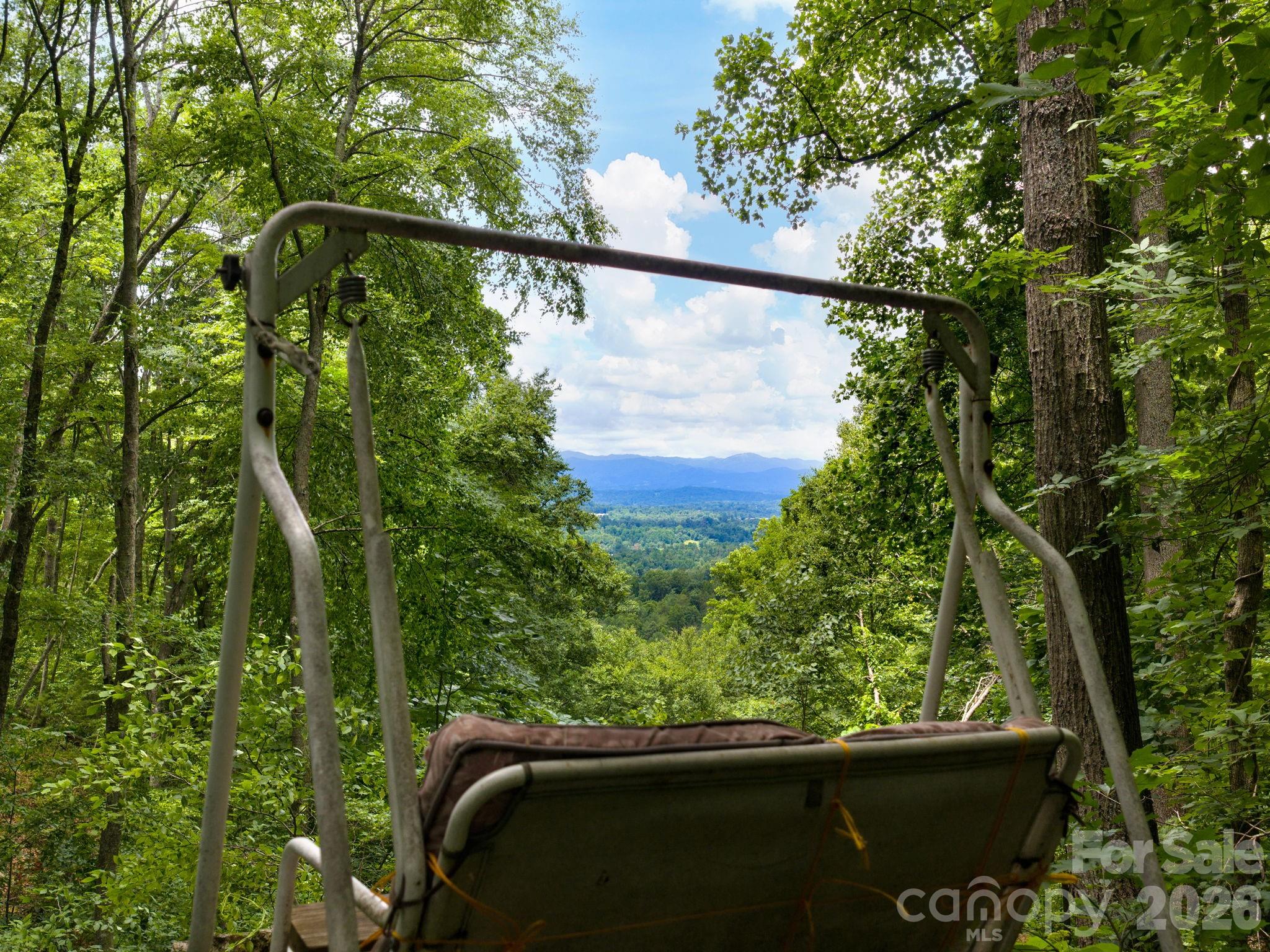 46 Perennial Ridge Weaverville, NC 28787 - Photo 36 of 44