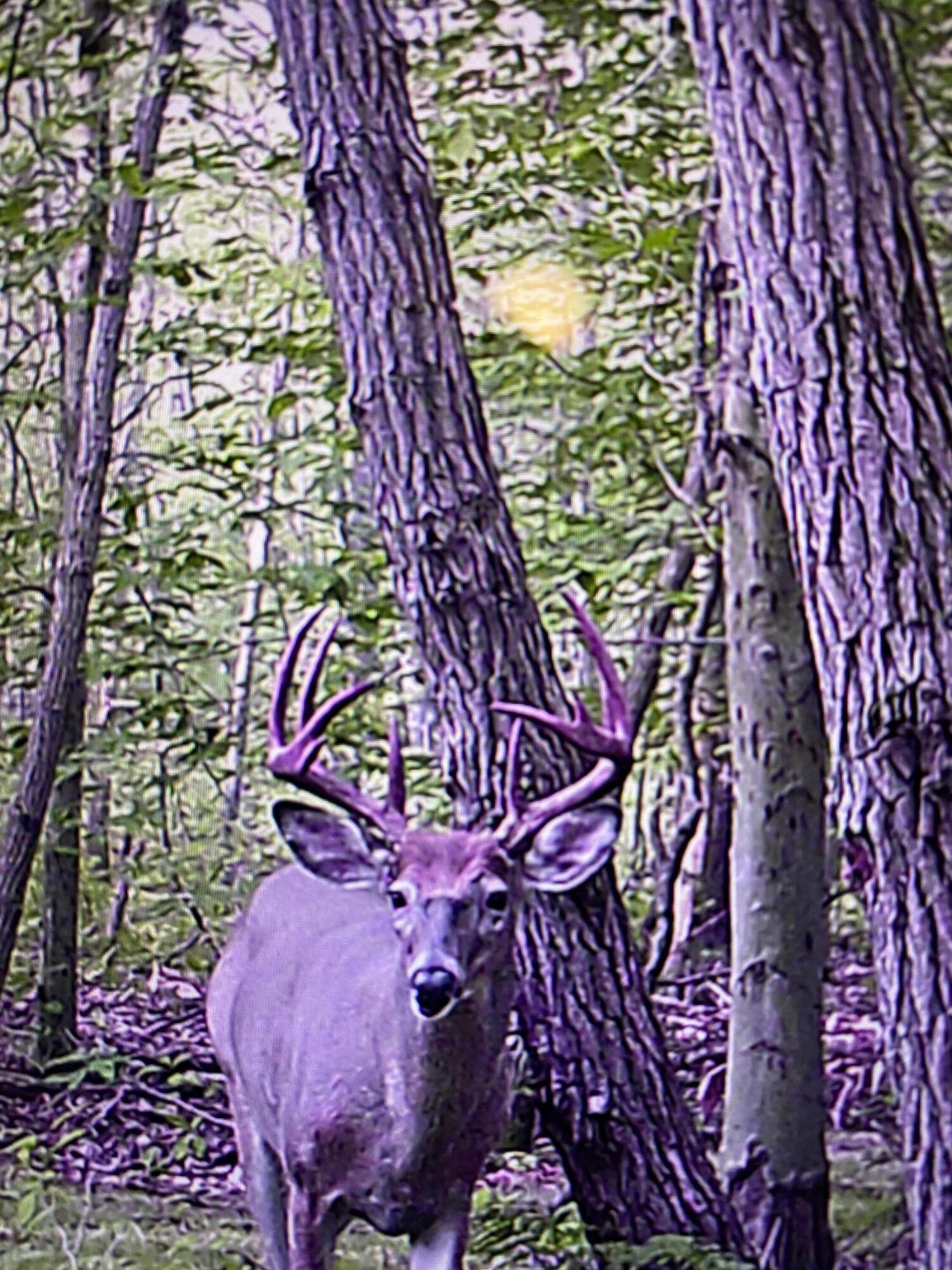 3235 West Giles Road Muskegon, MI 49445 - Photo 3 of 23 IMG-0598