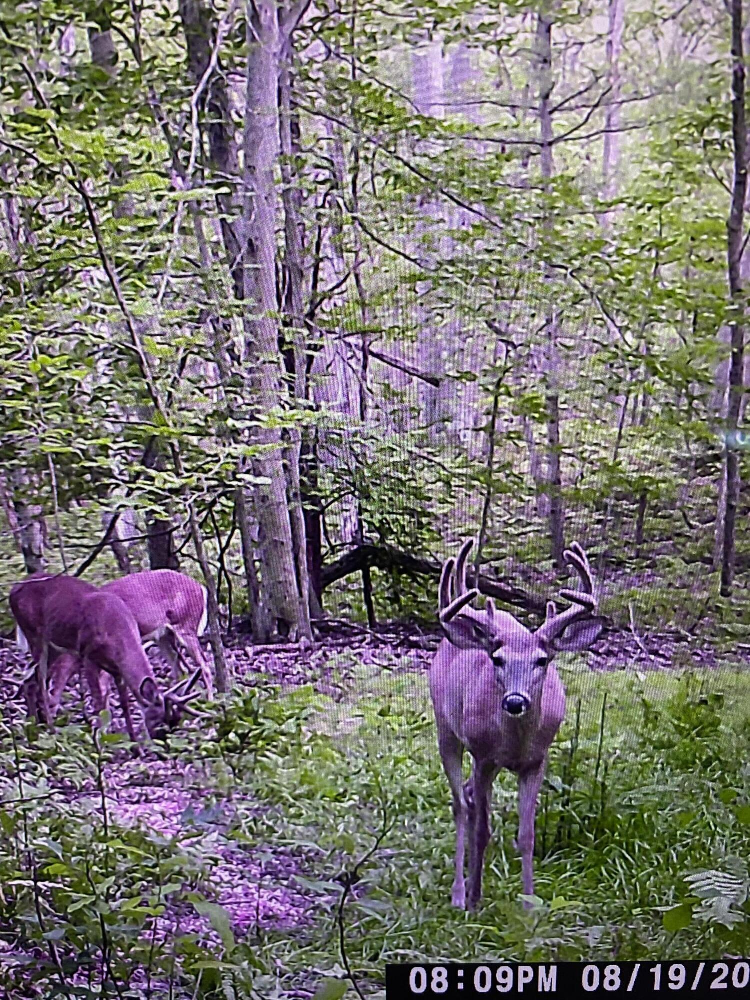 3235 West Giles Road Muskegon, MI 49445 - Photo 5 of 23 IMG-0588
