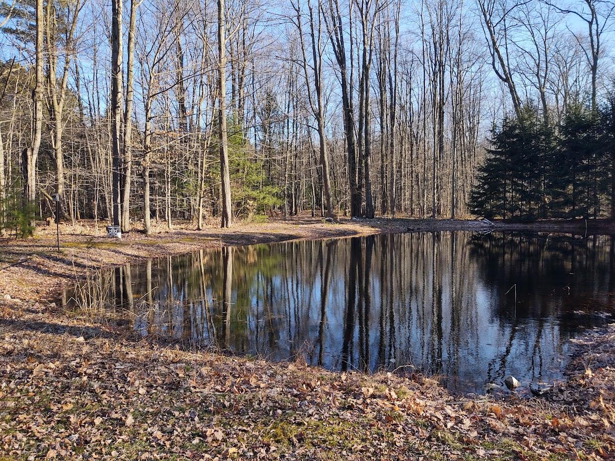 3235 West Giles Road Muskegon, MI 49445 - Photo 9 of 23 giles pond 2