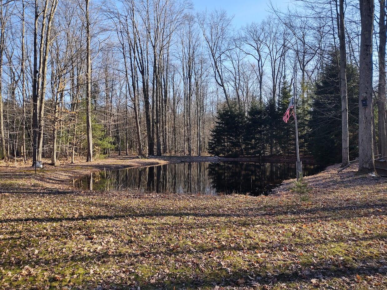 3235 West Giles Road Muskegon, MI 49445 - Photo 10 of 23 giles pond