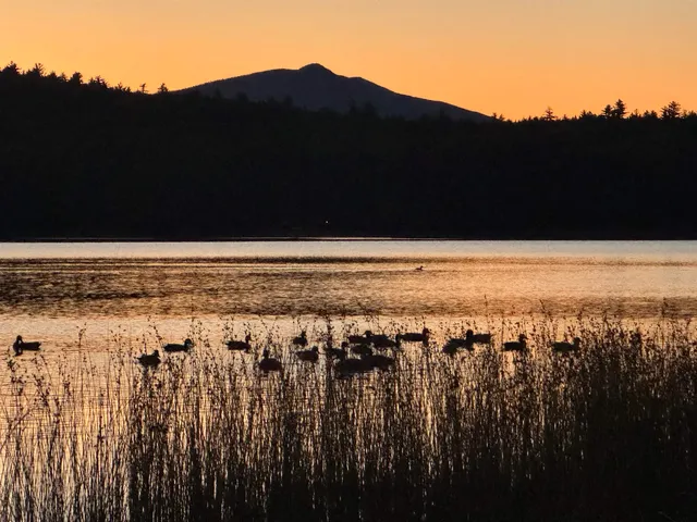 $400,000 | 27 Island Drive, Madison, NH 03849