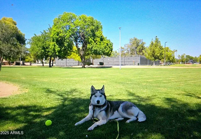 $550,000 | 808 West Isabella Avenue, Mesa, AZ 85210