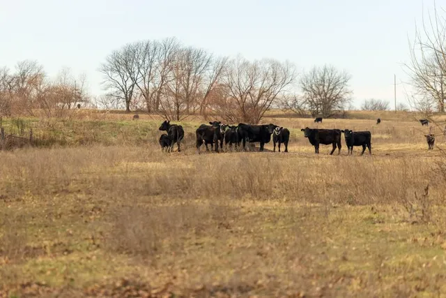 $2,250,000 | 1225 Road Garden, Garden City, MO 64747