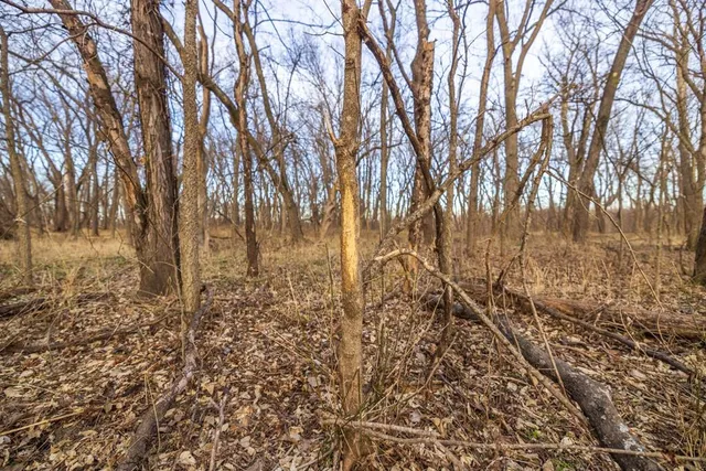 $2,250,000 | 1225 Road Garden, Garden City, MO 64747