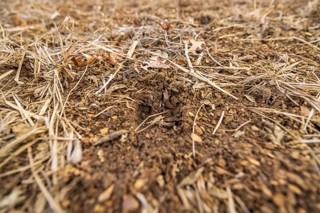 $2,250,000 | 1225 Road Garden, Garden City, MO 64747