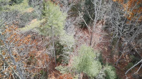 $90,000 | 2738 Burkettville Road, Liberty, ME 04949