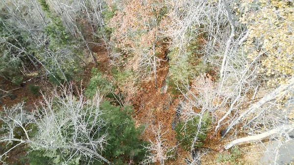 $90,000 | 2738 Burkettville Road, Liberty, ME 04949