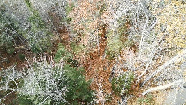 $90,000 | 2738 Burkettville Road, Liberty, ME 04949