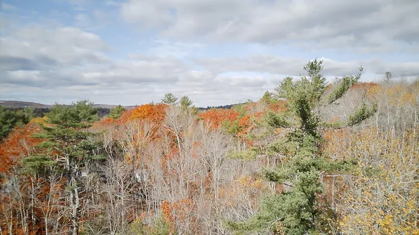 $90,000 | 2738 Burkettville Road, Liberty, ME 04949