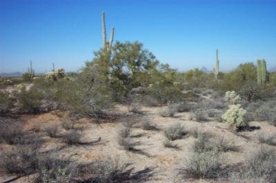 0 South M Bar J Ranch Road Marana, AZ 85658 - Photo 4 of 4