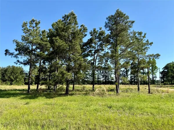 a view of park with trees