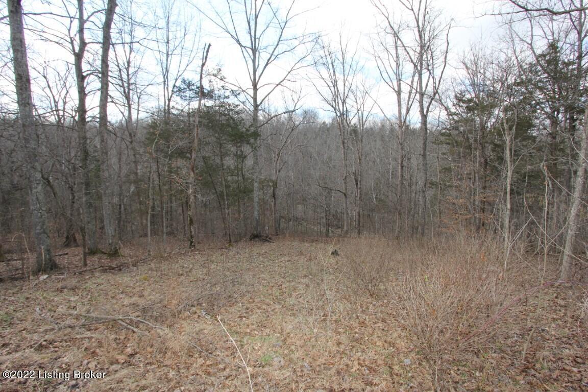 2001 Ashby Road Lawrenceburg, KY 40342 - Photo 4 of 17 IMG_4019 (Medium)