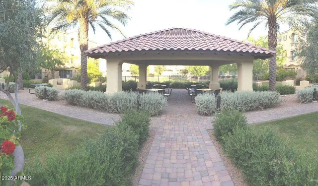 a view of a garden with a tree