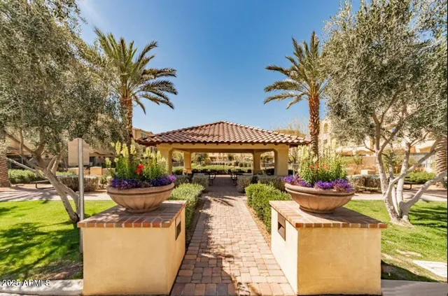 a view of a garden with plants