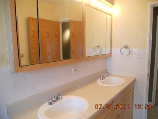 351 North Rohlwing Road Palatine, IL 60074 - Photo 4 of 11 a bathroom with a sink and a mirror